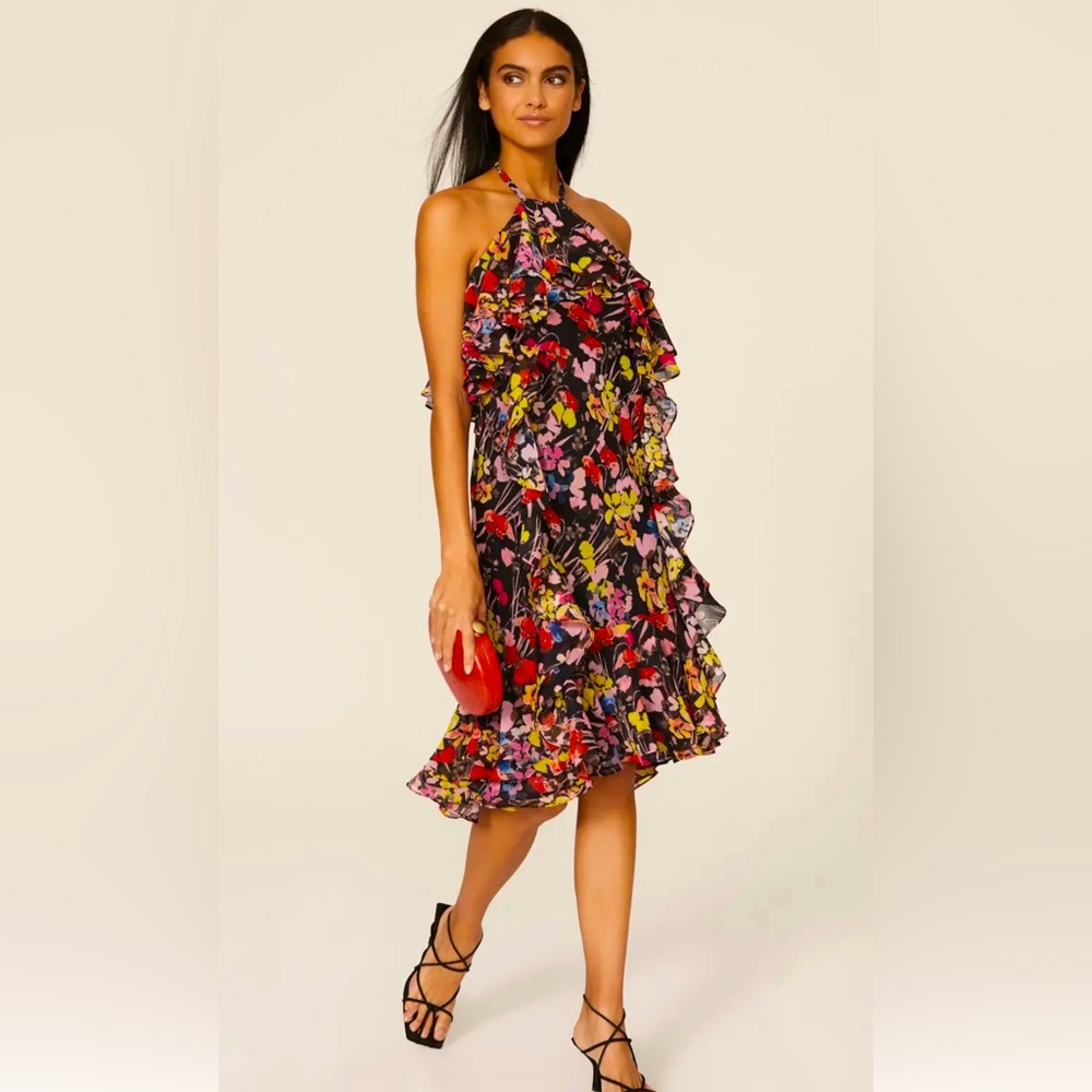Jason Wu Collective
Floral Halter Neck Dress Size 6